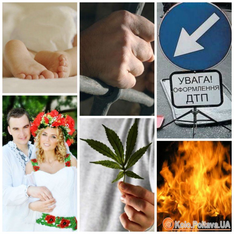 Мовою цифр. Фотоколаж Ольги Матвієнко (detective-ua.com, photo.i.ua,  p-p.com.ua, slovovolyni.com, zaholovok.com.ua)