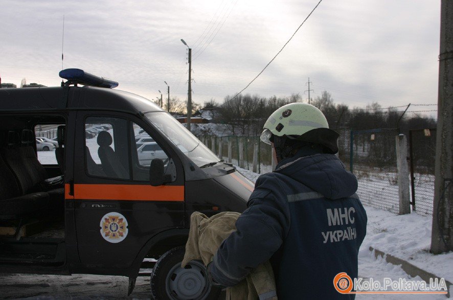 У Полтаві дикого птаха рятували від обмороження. Фото poltava.mns.gov.ua