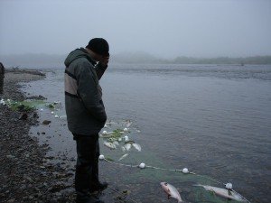 Полтавська область серед лідерів з кількості рибалок-браконьєрів 