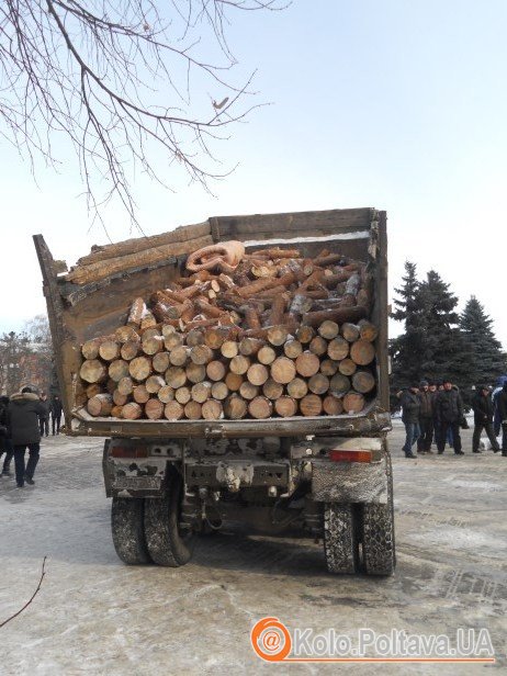 Полтавець привіз на полтавський Євромайдан дрова