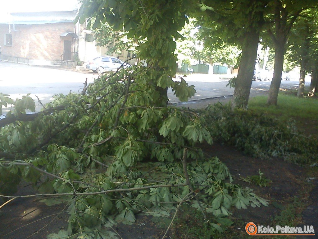 Народні новини. Наслідки буревію в Полтаві досі не прибрали