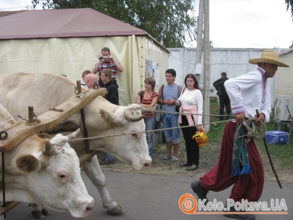 Сорочинський ярмарок відмінити не можна залишити!