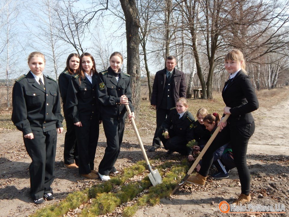 На Полтавщині стартувала лісокультурна кампанія 2015