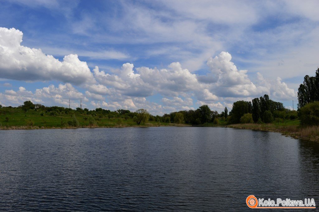 На Полтавщині за оренду ставків заборгували майже 800 тисяч гривень