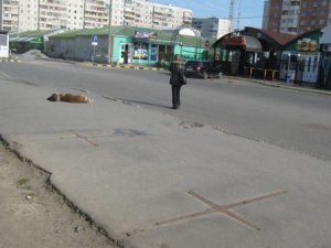 Фото: У Полтаві на Огнівці перенесли зупинку