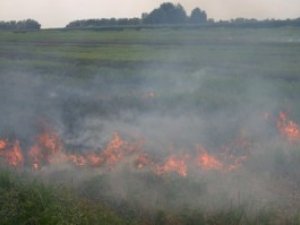 Фото: Пожежу під Полтавою гасили 15 годин