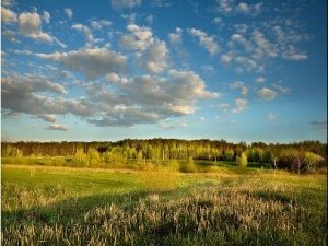 Фото: До четверга у Полтаві буде тепла погода