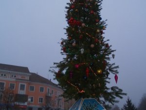 Фото: У Полтаві відкрили головну ялинку Ленінського району