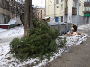 Фото: Влада Полтави просить не псувати вигляд міста викинутими ялинками