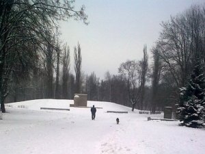 Фото: У Полтаві власники собак облюбували парк