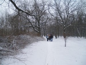 Фото: Полтавські депутати допомогли волонтерам розчистити Дендропарк