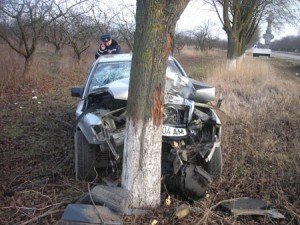 Фото: Полтавка заради життя тварини сама врізалась у дерево