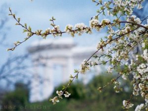 Погода у Полтаві: весна не квапиться