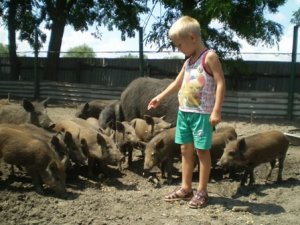 Де краще відпочити на Полтавщині