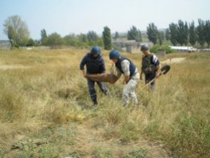 Фото: У Полтаві продовжують знаходити мінометні міни часів війни