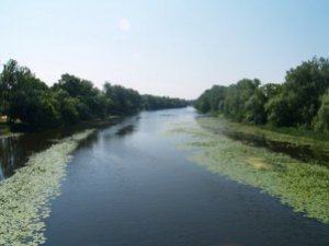 Фото: Радіаціаційний фон та температура води на пляжах в Полтаві