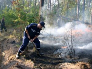 Фото: Під Полтавою рятувальники боролися із лісовою пожежею