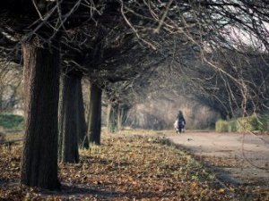 Фото: У Полтаві сьогодні дощу не буде