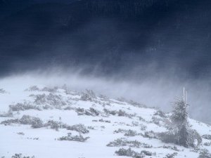 Фото: У Полтаві та області штормові вітри будуть до 23 січня