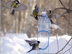 Фото: Сьогодні середина зими