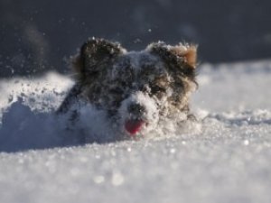 Фото: Погода на 16 лютого 