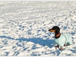 Фото: Якої погоди чекати полтавцям сьогодні, 20 лютого