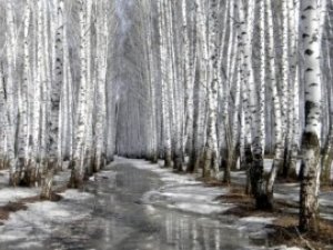 Фото: 1 березня – погоду передбачить грім і вітер