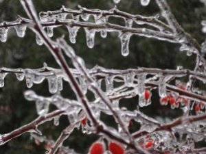 Фото: Погода в Полтаві 6 березня