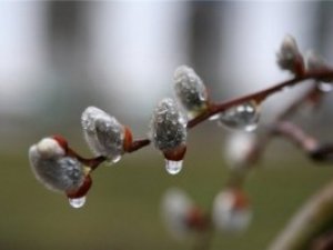 Фото: 10 березня – не спи вдень