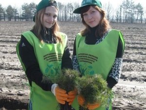 У Полтаві посадять новий ліс