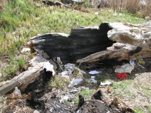 Фото: За день полтавці перетворили зелену зону на звалище