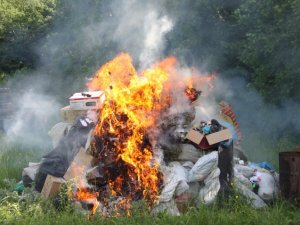 Фото: Під Полтавою правоохонці знищили 130 кілограм наркотиків - фоторепортаж