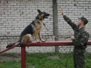 Полтавська міліція хоче влаштувати в школі недитяче шоу