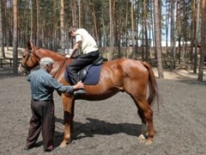 У Полтаві засудженим дітям влаштували сеанс іпотерапії - фоторепортаж