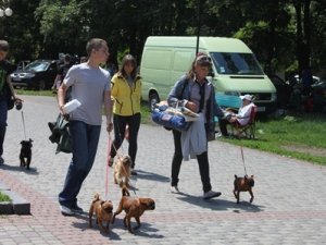 Фото: У полтавському парку Перемога зібралось більше півтисячі собак