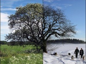 Сьогодні можна визначити погоду, яка очікує нас в грудні