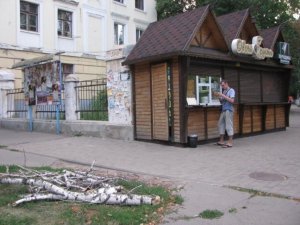 Фото: У центрі Полтави люди дивом уникли падіння гілля на голови