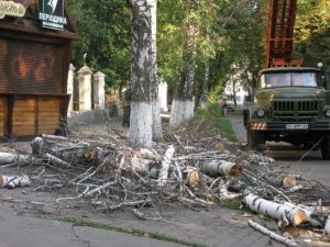 Фото: У Полтаві спилюють аварійно-небезпечні дерева