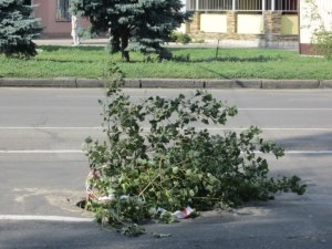 Фото: Фотофакт.  З полтавської дороги зникла кришка від люку – туди запхали гілля