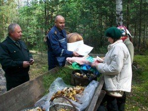 Полтавські еменесники розповіли, яким прикметам щодо грибів не варто довіряти