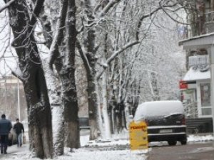 Через перший сніг у Полтаві у воді тонуть дерева (фото)