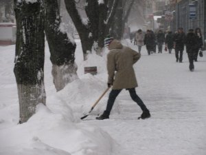 Полтавці вирішили прислухатися до поради Азарова та взялися за лопати (фотофакт)