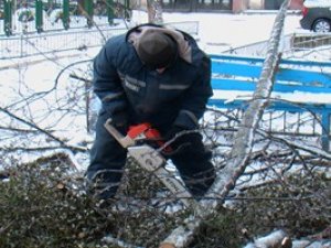 Фото: У Полтаві вхід до дитсадка завалило гіллям (+відео)