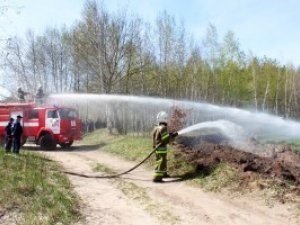 Фото: Рятувальники роздають листівки, щоб врятувати полтавські ліси від пожеж