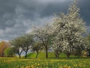 Фото: На 16 травня синоптики прогнозують у Полтаві дощ із грозою