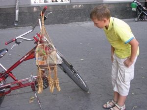 Фото: Полтава й полтавці у День Незалежності (фоторепортаж)