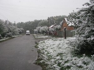 Перший сніг у Полтаві: на квіти, зелене листя й ошелешених перехожих (фото)