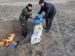 Фото: У Полтаві СБУшники знищили більше 5 кг марихуани