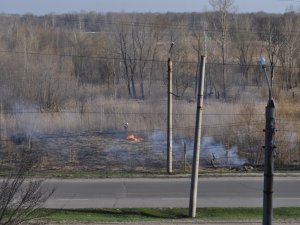 Фото: Неподалік автозаправки у Полтаві загорілася суха трава