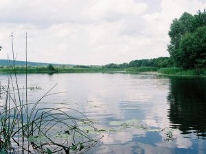 Фото: Прорив мереж у річку під Полтавою: "Коло" готує письмове звернення в екоінспекцію